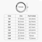 Anillo Inteligente para Monitoreo de Salud y Rendimiento Deportivo Smart Ring SRW21 03