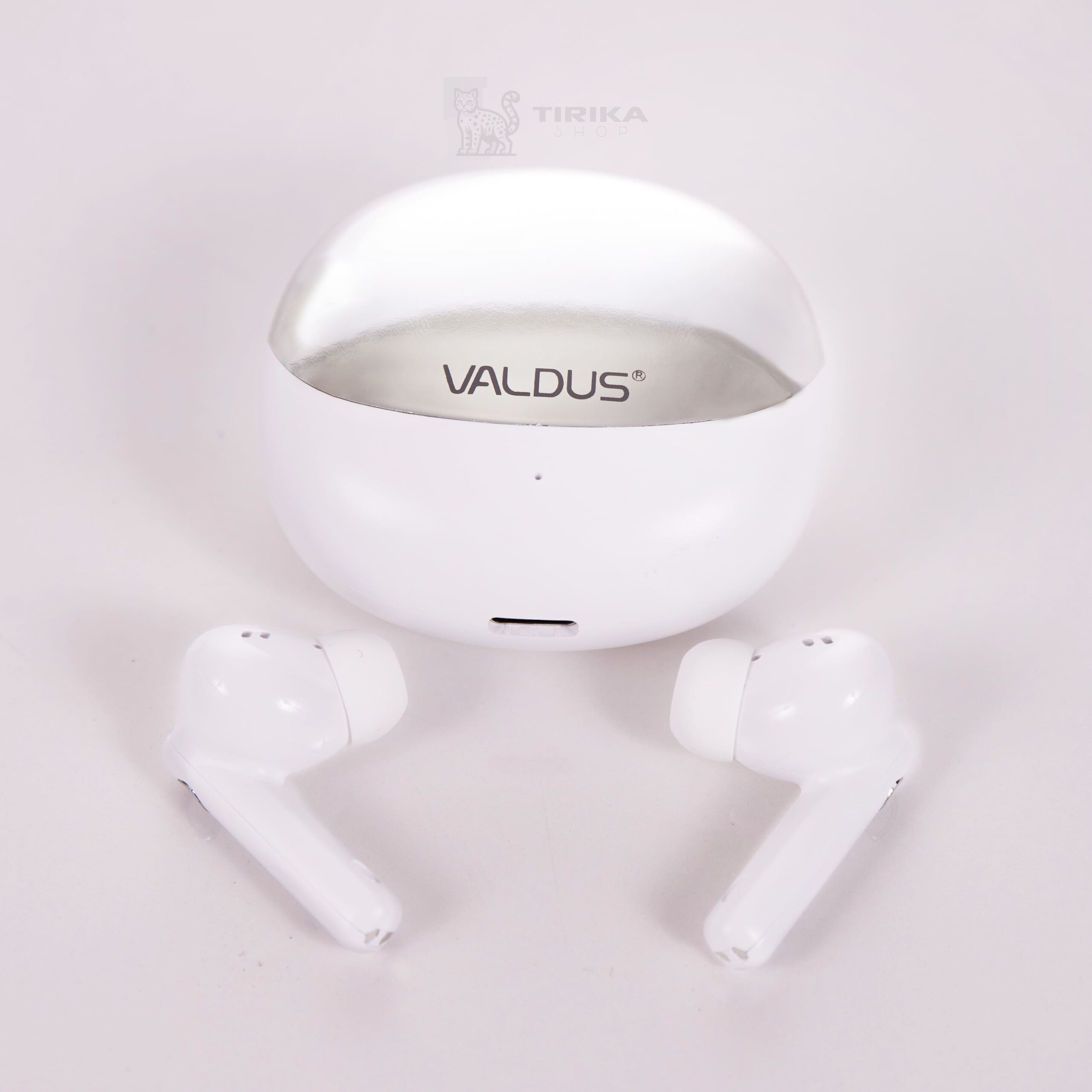 ZAR 0209 marca de agua ZAR 0209 marca de agua